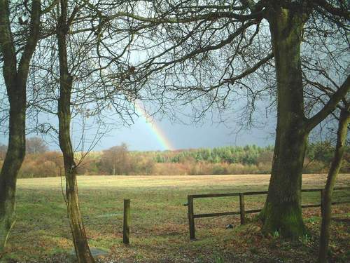 Hampshire England